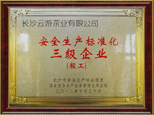 安全生產(chǎn)標(biāo)準(zhǔn)化三級企業(yè)